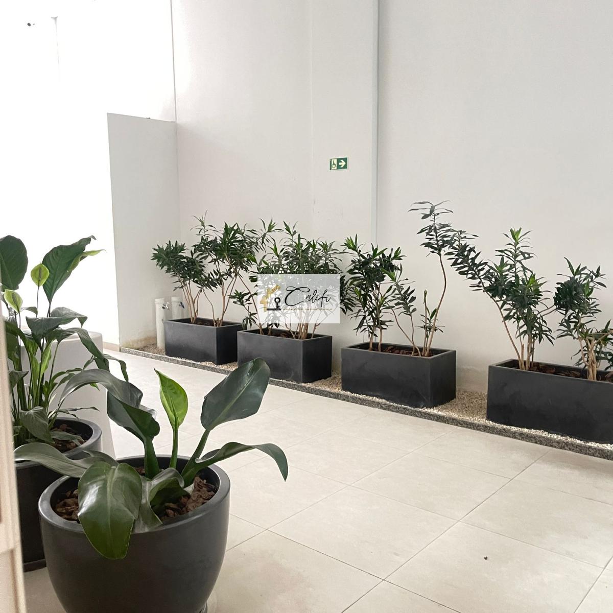Apartamento com 1 quarto, 34m², para locação em São Paulo, Vila Clementino - Calefi Imóveis