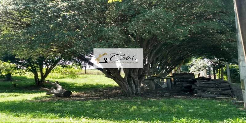 Sítio com 3 quartos, 140000m², à venda em São Manuel - Calefi Imóveis