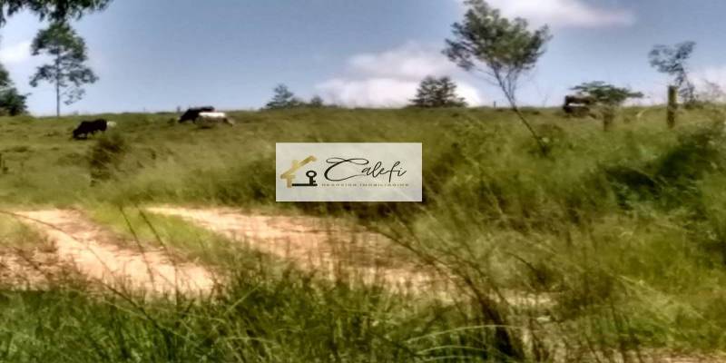 Sítio com 3 quartos, 140000m², à venda em São Manuel - Calefi Imóveis