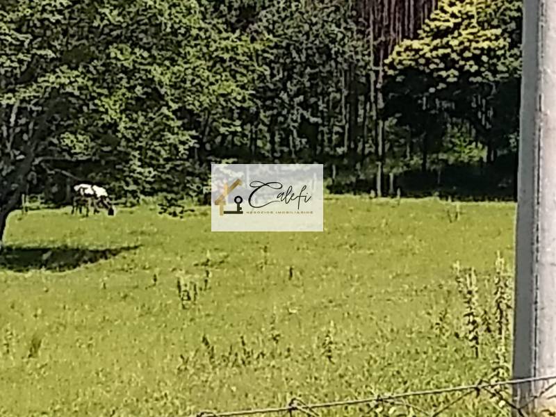 Sítio com 3 quartos, 140000m², à venda em São Manuel - Calefi Imóveis