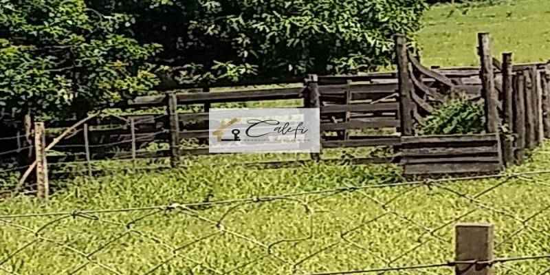 Sítio com 3 quartos, 140000m², à venda em São Manuel - Calefi Imóveis
