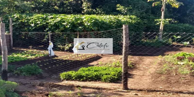 Sítio com 3 quartos, 140000m², à venda em São Manuel - Calefi Imóveis