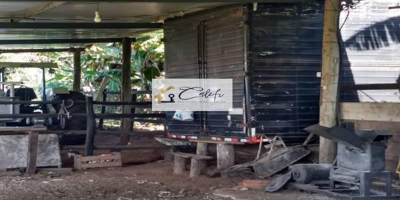 Sítio com 3 quartos, 140000m², à venda em São Manuel - Calefi Imóveis