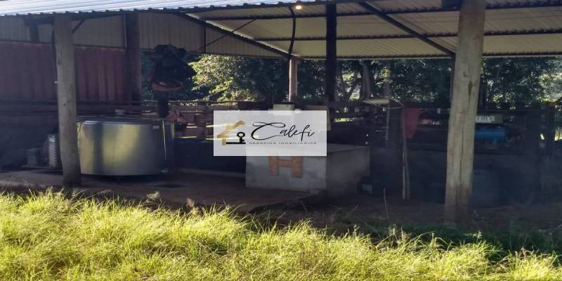 Sítio com 3 quartos, 140000m², à venda em São Manuel - Calefi Imóveis